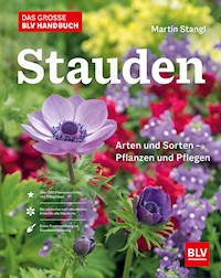 Das BLV Handbuch Stauden - Martin Stangl - E-Book