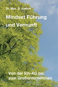 Mindset Führung und Vernunft - Dr. Max. S. Justice - E-Book