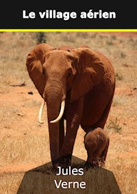 Le village aérien - Jules Verne - E-Book