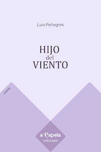 Hijo del viento - Luis Pellegrini - E-Book