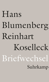 Briefwechsel 1965-1994 - Hans Blumenberg - E-Book