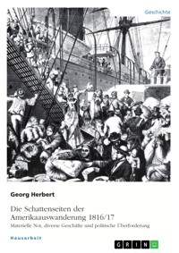 Die Schattenseiten der Amerikaauswanderung 1816/17. Materielle Not, diverse Geschäfte und politische Überforderung - Georg Herbert - E-Book