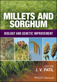 Millets and Sorghum -  - E-Book