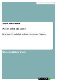 Platon über die Liebe - Andre Schuchardt - E-Book