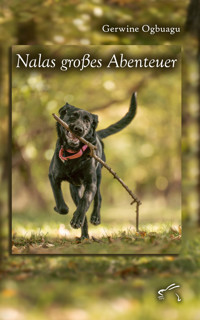 Nalas großes Abenteuer - Gerwine Ogbuagu - E-Book
