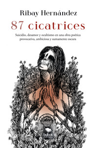 87 cicatrices - Ribay Hernández - E-Book