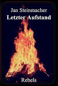Rebels - Letzter Aufstand - Jan Steinmacher - E-Book