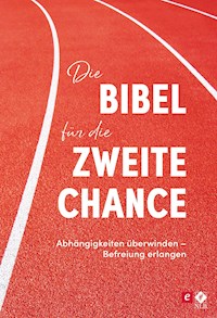 Die Bibel für die zweite Chance - Stephen Arterburn - E-Book
