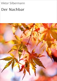 Der Nachbar - Viktor Silbermann - E-Book
