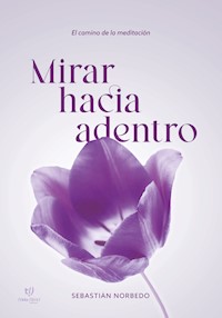 Mirar hacia adentro - Sebastian Norbedo - E-Book