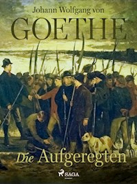 Die Aufgeregten - Johann Wolfgang von Goethe - E-Book