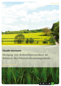 Hedging von Rohstoffpreisrisiken im Rahmen des Finanzrisikomanagements - Claudia Gormann - E-Book
