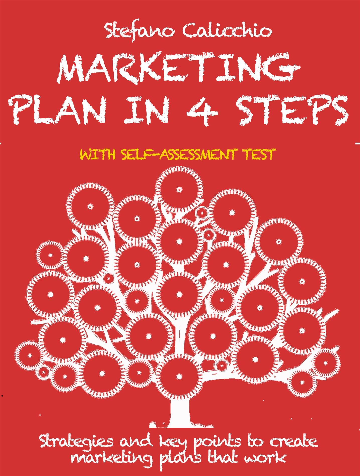 Marketing plan in 4 steps - Stefano Calicchio - E-Book
