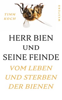 Herr Bien und seine Feinde - Timm Koch - E-Book