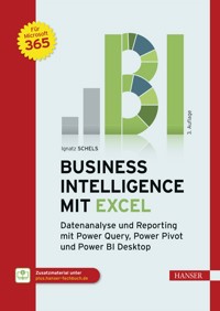 Business Intelligence mit Excel - Ignatz Schels - E-Book