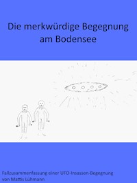 Die merkwürdige Begegnung am Bodensee - Mattis Lühmann - E-Book