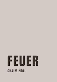 Feuer - Chaim Noll - E-Book