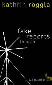 fake reports - Kathrin Röggla - E-Book