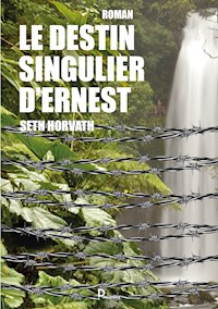 Le destin singulier d'Ernest - Seth Horvath - E-Book