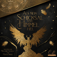 Als mein Schicksal vom Himmel fiel - Britta Strauss - Hörbuch