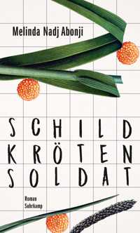 Schildkrötensoldat - Melinda Nadj Abonji - E-Book