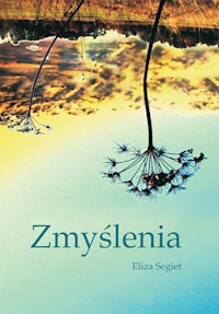 Zmyślenia - Eliza Segiet - E-Book