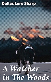 A Watcher in The Woods - Dallas Lore Sharp - E-Book