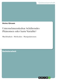 Unternehmenskultur. Schillerndes Phänomen oder harte Variable? - Heinz Giesen - E-Book