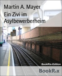 Ein Zivi im Asylbewerberheim - Martin A. Mayer - E-Book