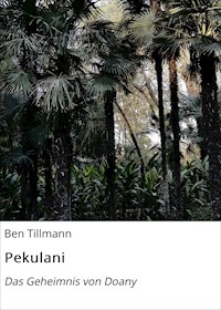 Pekulani - Ben Tillmann - E-Book