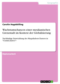 Wachstumschancen einer mexikanischen Grenzstadt im Kontext der Globalisierung - Carolin Hagebölling - E-Book