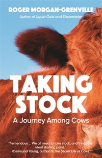 Taking Stock - Roger Morgan-Grenville - E-Book