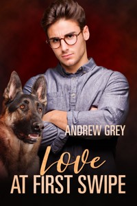 Love at First Swipe - Andrew Grey - E-Book
