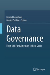 Data Governance -  - E-Book
