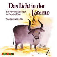 Das Licht in der Laterne - Ein Adventskalender in Geschichten - Georg Dreißig - Hörbuch
