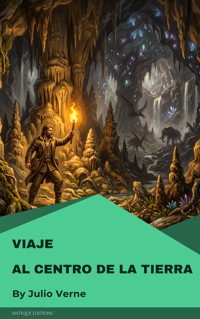Viaje al centro de la Tierra - Julio Verne - E-Book