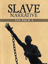 Slave Narrative Six Pack 3 (Illustrated) - Booker T. Washington - E-Book