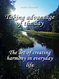 Taking advantage of the day - Anders Åkerstedt - E-Book