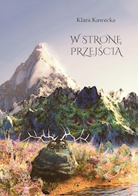 W stronę przejścia - Klara Kawecka - E-Book