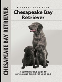 Chesapeake Bay Retriever - Nona Kilgore Bauer - E-Book
