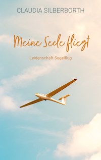 Meine Seele fliegt - Claudia Silberborth - E-Book
