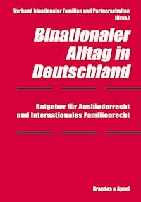 Binationaler Alltag in Deutschland - Elmar Hörnig - E-Book
