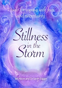 Stillness in the Storm - Jan Alcoe - E-Book