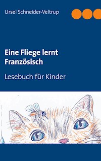 Eine Fliege lernt Französisch - Ursel Schneider-Veltrup - E-Book