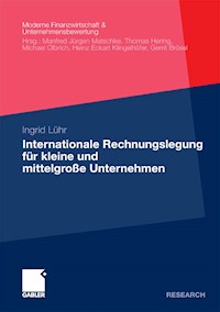 Internationale Rechnungslegung für kleine und mittelgroße Unternehmen - Ingrid Lühr - E-Book