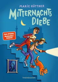 Mitternachtsdiebe - Marie Hüttner - E-Book