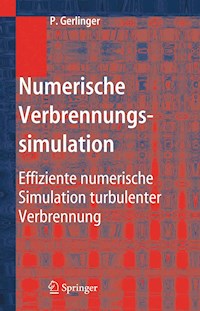 Numerische Verbrennungssimulation - Peter Gerlinger - E-Book