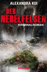 Der Nebelfelsen - Alexandra Kui - E-Book