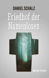 Friedhof der Namenlosen - Daniel Schalz - E-Book