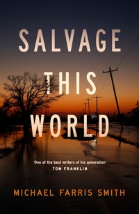 Salvage This World - Michael Farris Smith - E-Book